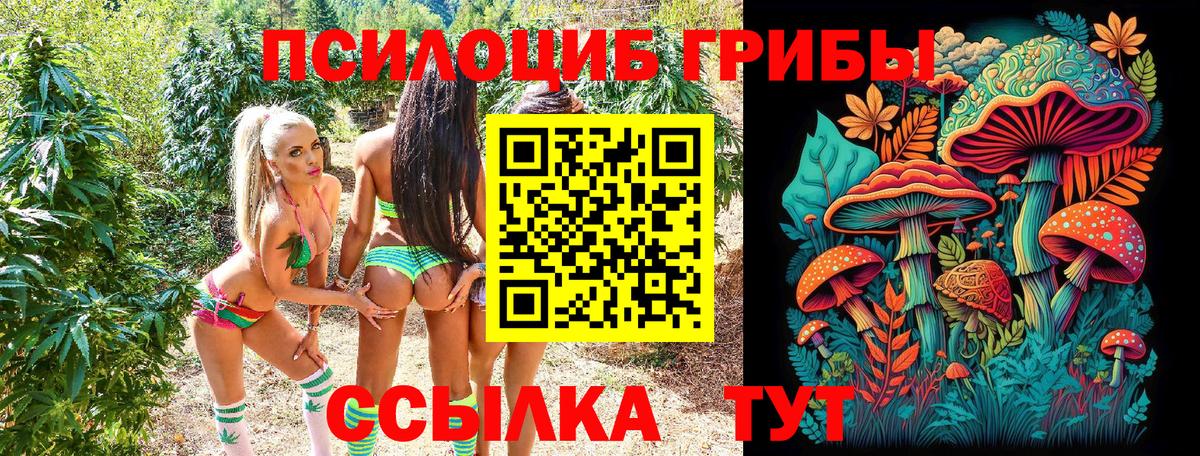 Псилоцибиновые грибы MAGIC MUSHROOMS Ивантеевка