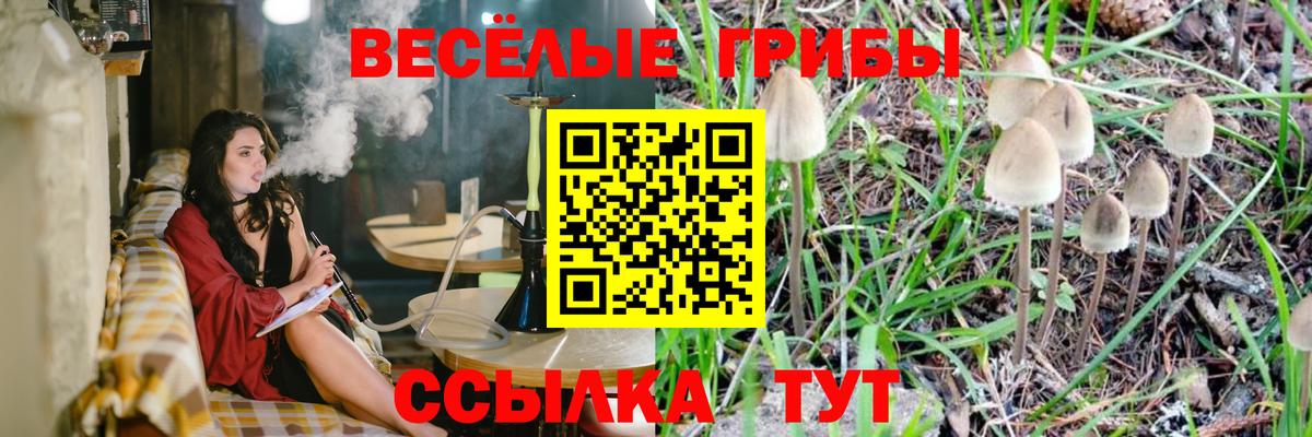 Галлюциногенные грибы Cubensis  Вход с VPN  Ивантеевка 